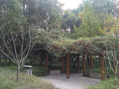 -徐家汇源景区-衡山公园