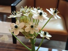 -杭州城中香格里拉大酒店