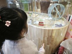 -卡通尼·Safari非洲探索乐园·生日会(金桥国际商业广场店)