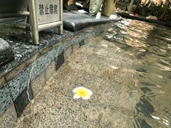 -碧水湾温泉