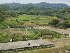 -凤岗南门山森林公园