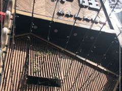 -火炉旺烤肉啤酒屋(沈北创始店)