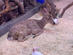 -正佳雨林生态植物园