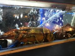 -蟹后Crabber(水悦城店)
