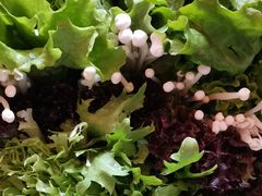 -五悦北平四季涮肉·烧烤(老商埠店)