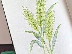 -八哥美术·成人美术画室(总校区)