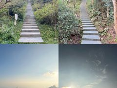 -梧桐山风景名胜区