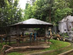 -清迈夜间动物园