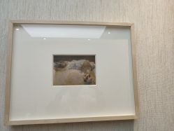 -铂诗玥医美