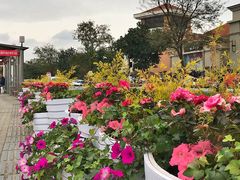 -奥特莱斯停车场