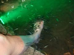 -宝丽金大酒店·洗浴中心