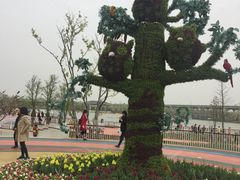 -上海浦江郊野公园-2号停车场