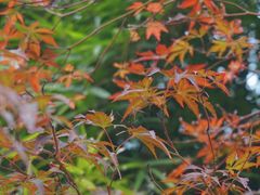 -东湖磨山景区