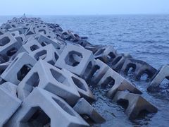 -东疆建设开发纪念公园