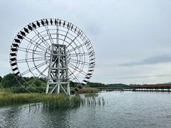 -苏州太湖湖滨国家湿地公园