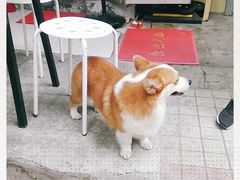 -小梁哥云吞面(黄贝岭店)