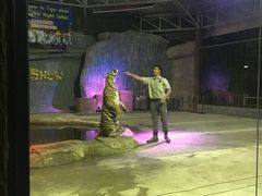 -清迈夜间动物园