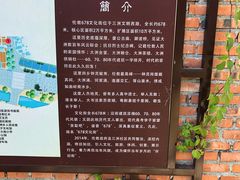 -伦教678文化街
