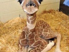 iphone_upload_pic-上海青草地幼儿园