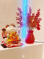 -佳妍惠美科技美肤美体中心
