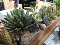 -冷峰马家鸡蛋牛奶醪糟(八朗学五巷店)