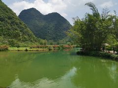 -靖西鹅泉风景区