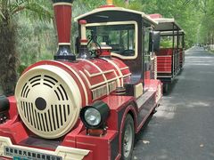 -合肥滨湖国家森林公园