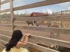 -安德鲁户外烧烤帐篷营地(马泉营店)