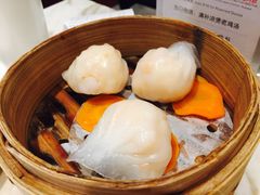 -老广酒楼(樱花店)