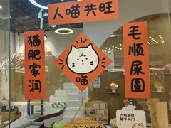 -COLOR PETS 撸猫馆·购猫·猫咖(长风大悦城店)