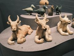 -广西壮族自治区博物馆