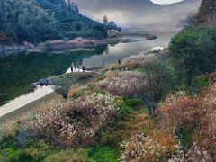 -上名堂·鱼头好吃(体育场路店)