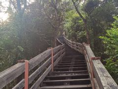 -水濂山森林公园