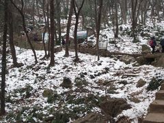 -惠山国家森林公园
