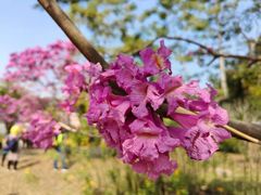 -华南国家植物园-售票处