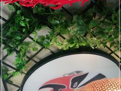 -雲蜀龙阁·金牌水煮鱼(方庄店)