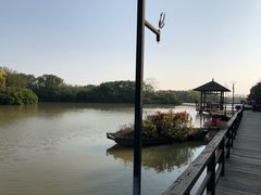 -大湾区中央湿地公园