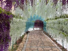 -郑州银基黄帝宫御温泉