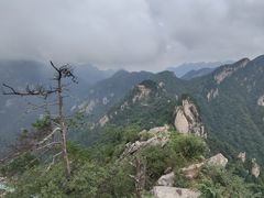 -老界岭旅游度假区