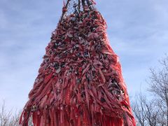 -帽儿山国家森林公园