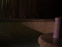 -春晖园度假酒店温泉