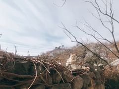 -瓦厂酒店