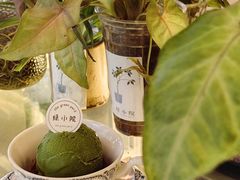 -绿小院(荔湾店)