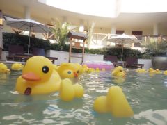 -苏州湾王焰温泉度假酒店