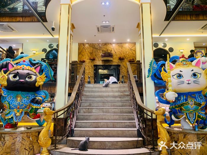 more than meow吴止猫主题餐厅(承德 中船汇店)门面图片