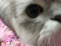 -王红军龙虾(新民路店)