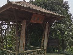 -南山植物园