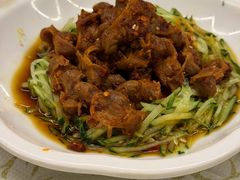 -百利鸽王(紫薇路店)