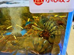 -哈尔信阳光农园超市(沈阳三台子万象汇店)