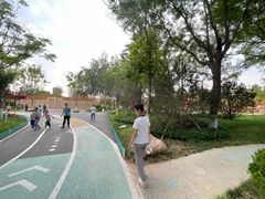 -张店儿童公园